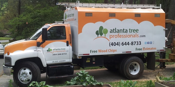 Who is the best tree company in Atlanta? Consider ATP.