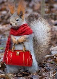 squirrelwithbag