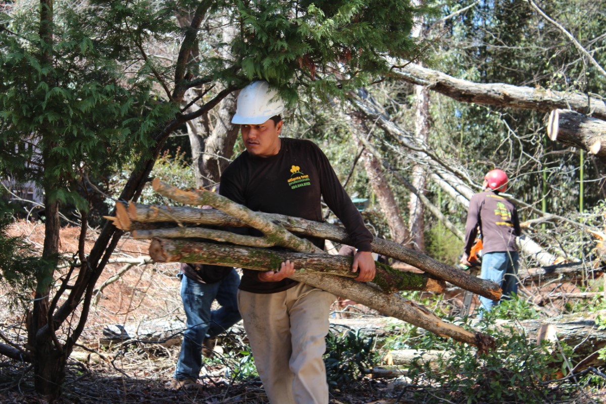 Learn why our Atlanta tree service reviews are the best in the business. Then call us for your tree care and removal needs.