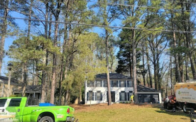 Professional Tree Trimming and Tree Removal in Atlanta, GA