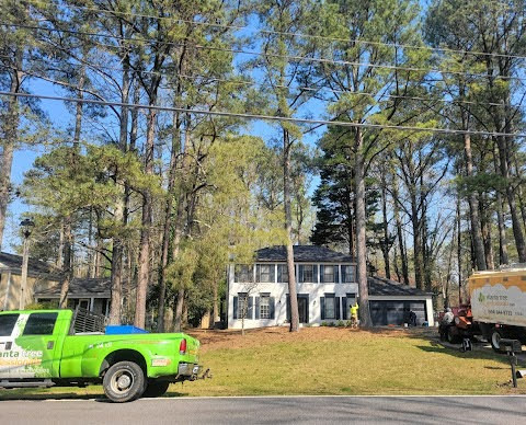 professional tree trimming and tree removal in atlanta ga